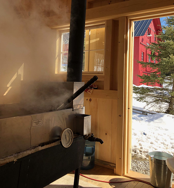 Maple syrup from high Ridge Meadows Farm, Randolph, VT