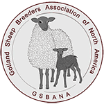 Gotland Sheep Breeders Association of North America - Gotland Sheep at High Ridge Meadows Farm