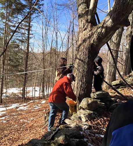 Maple syrup from High Ridge Meadows Farm