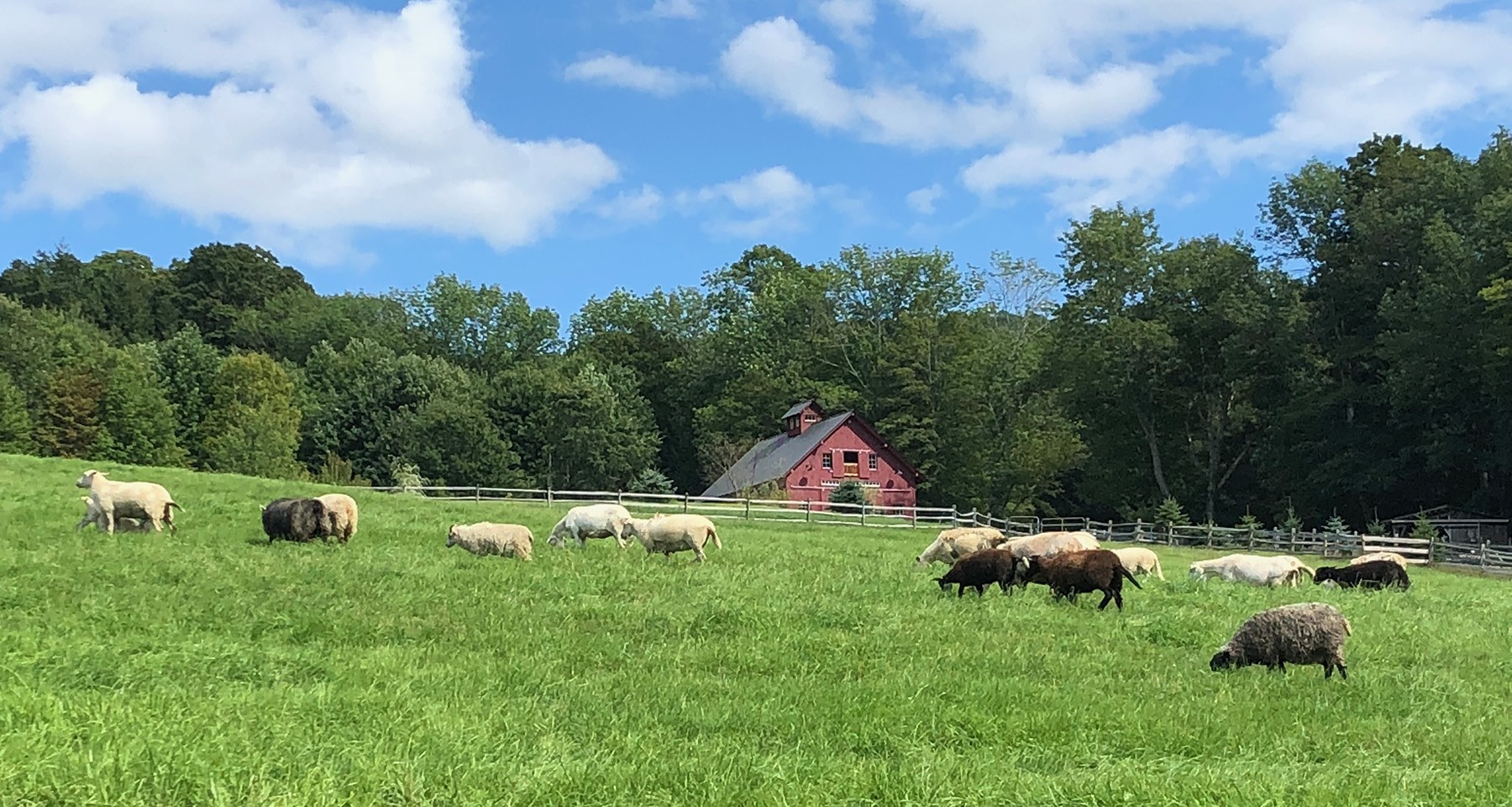 High Ridge Meadows Farm, East Randolph. Vermont