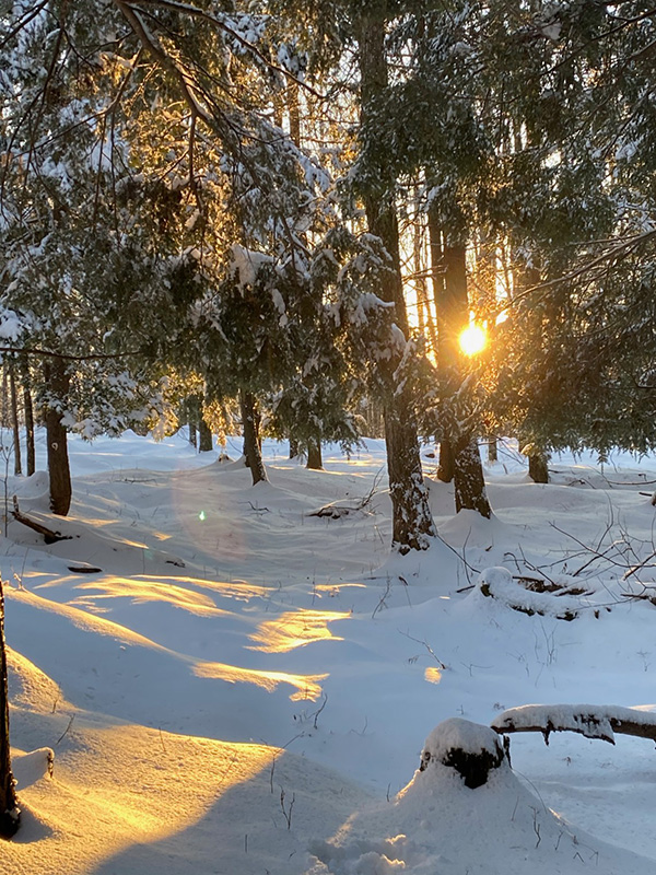 A lovely distraction in the woods at High Ridge Meadows Farm, Vermont